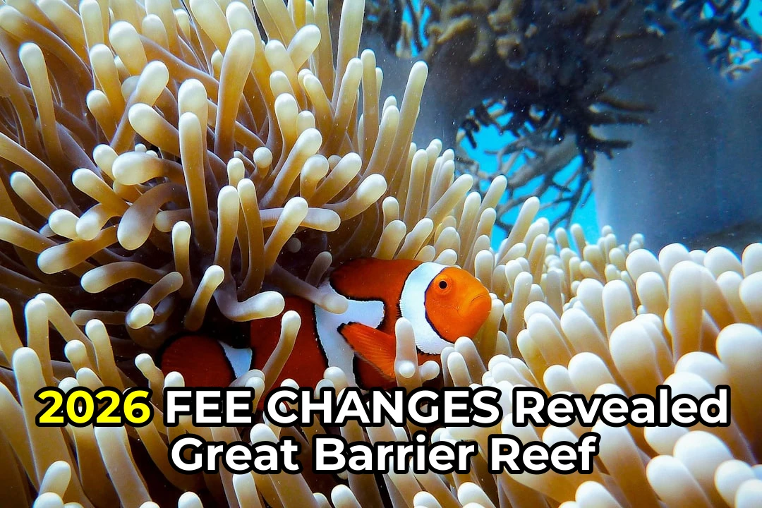 Ever Wondered How the New Great Barrier Reef Fees Will Impact Your 2026 Adventure?