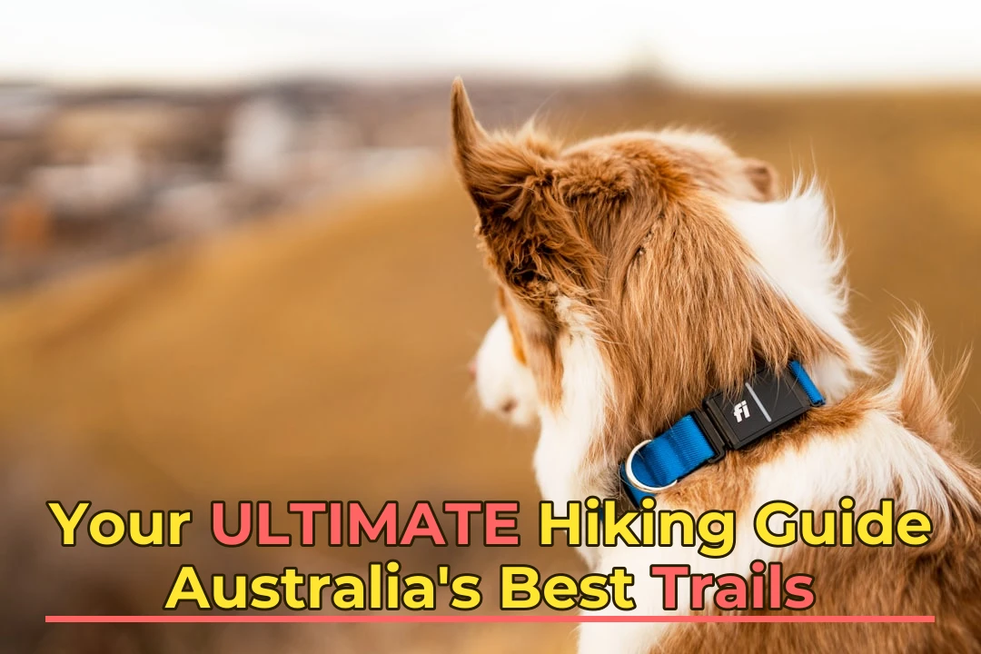 Hiking Australia: The Definitive Resource