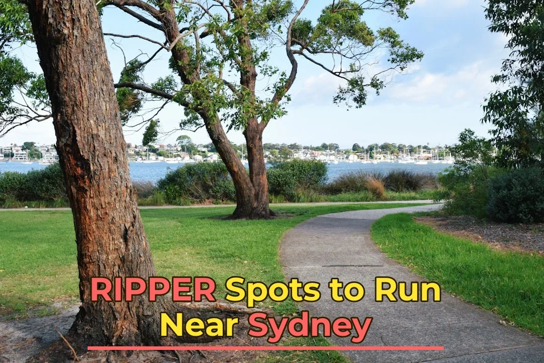 Guide to Trail Running Near Sydney | Best Spots & Tips
