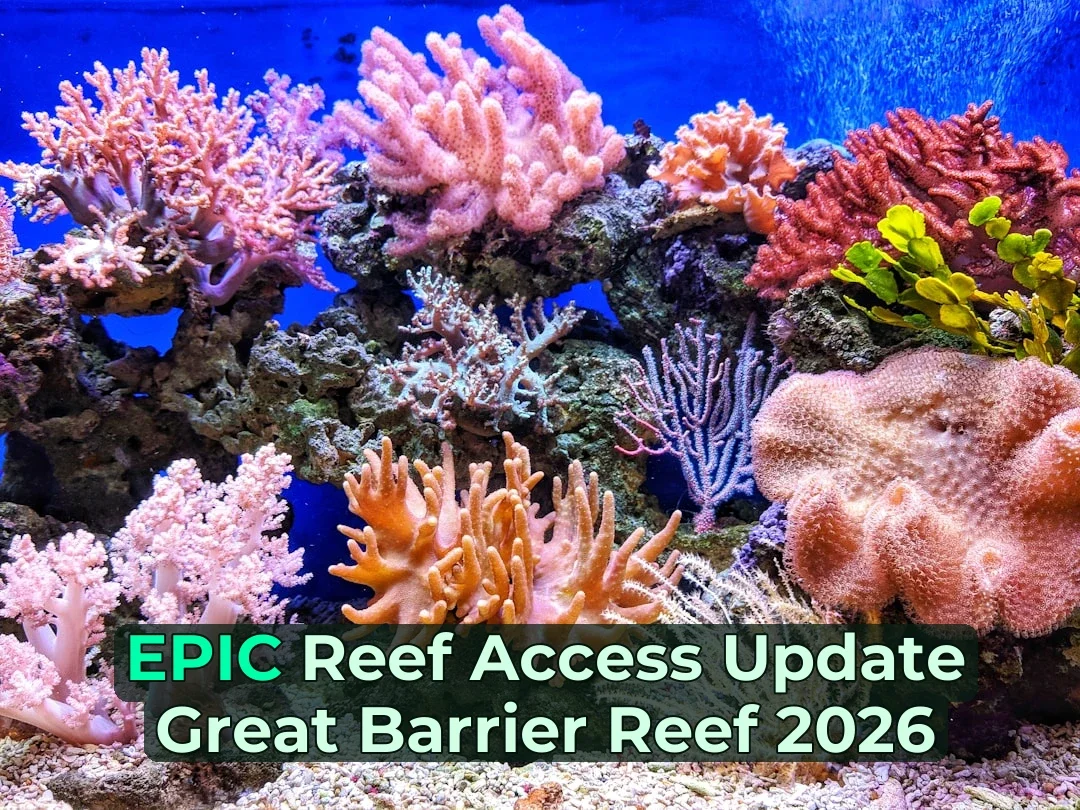 🚨 New Great Barrier Reef Fishing Rules Coming in 2026! 🚨