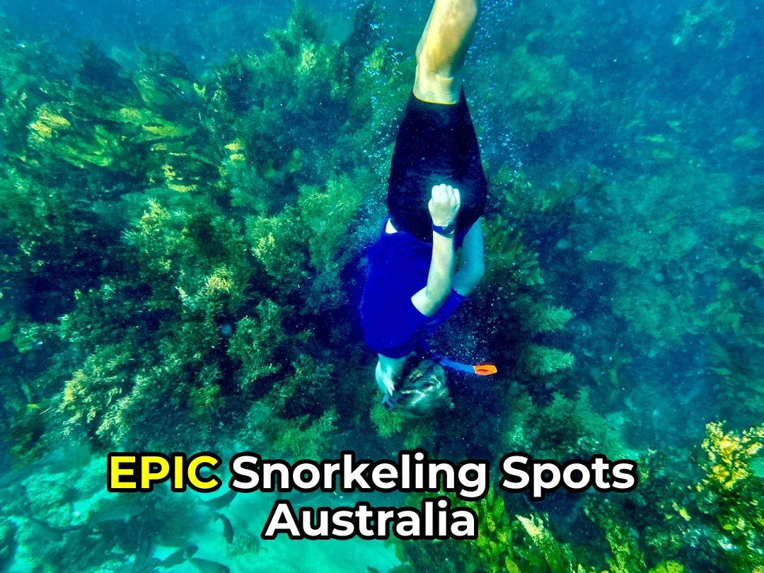 Snorkeling in Australia: A Complete Beginner to Expert Guide