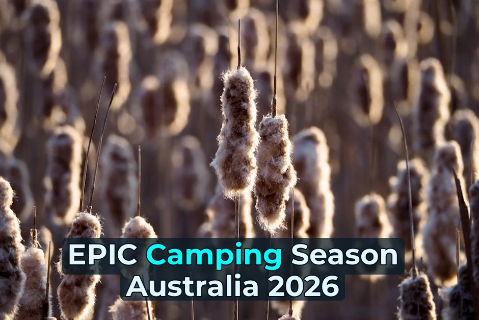 What If I Told You the 2026 Camping Season Rules Just Changed? 🔥