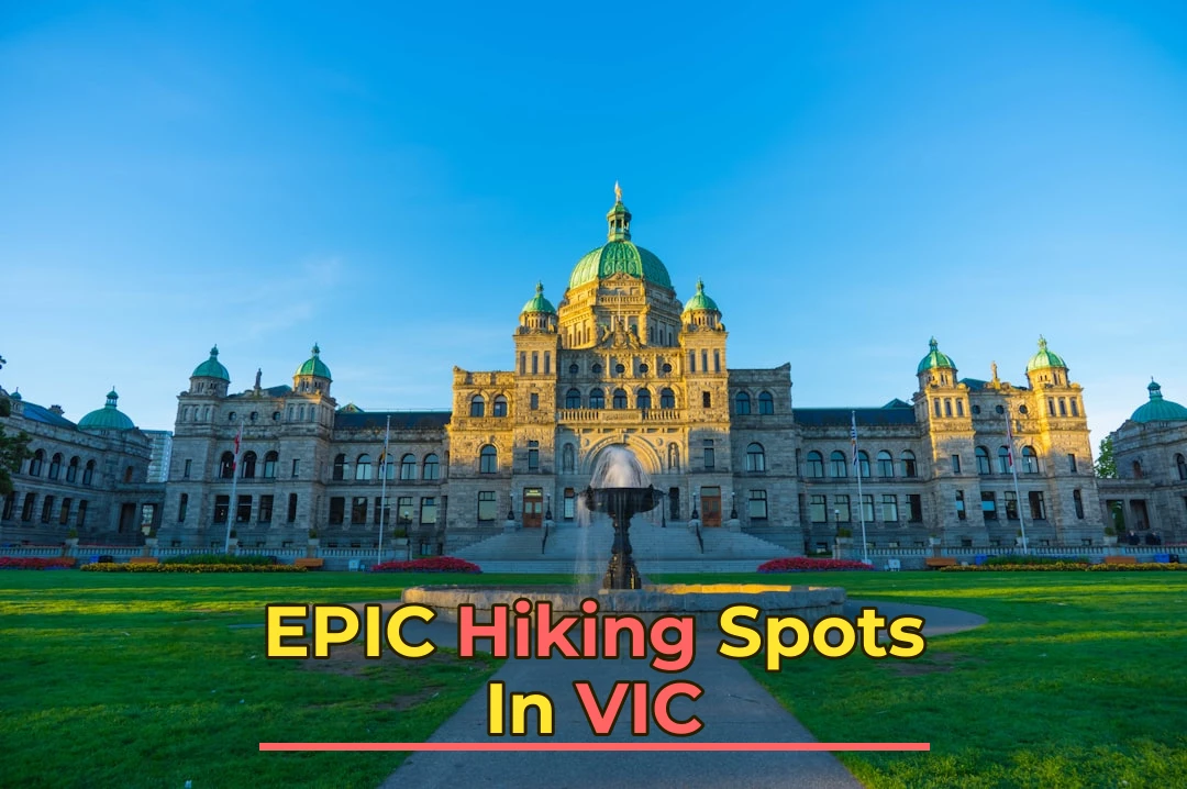 Hiking in VIC: Destinations, Tips & Planning