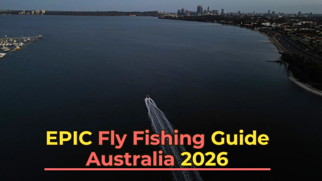 Complete Guide to Fly Fishing in Australia 2026