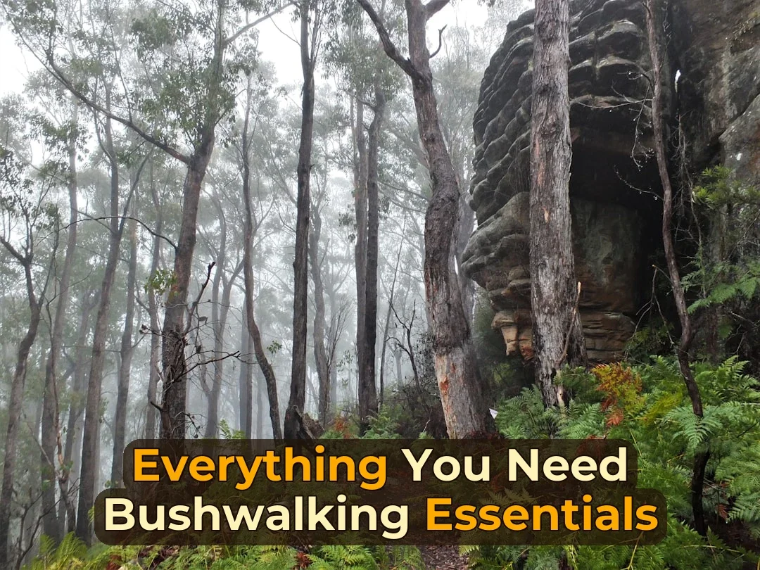 Ever Wondered What’s Actually in a Pro Bushwalker’s Pack? 🎒