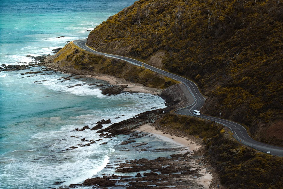 Wildlife Watching in Australia: Destinations, Tips & Planning