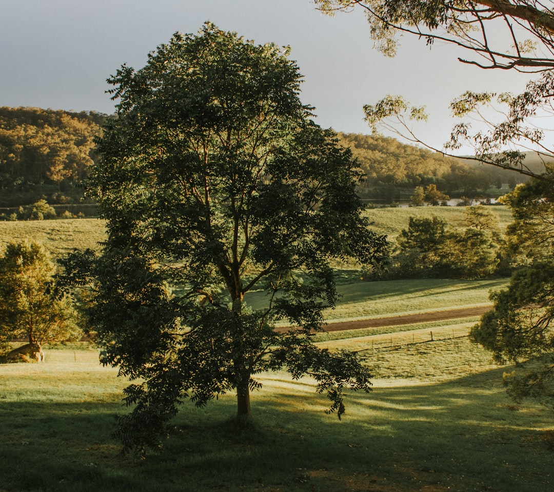 Guide to Trail Running Near Sydney | Best Spots & Tips
