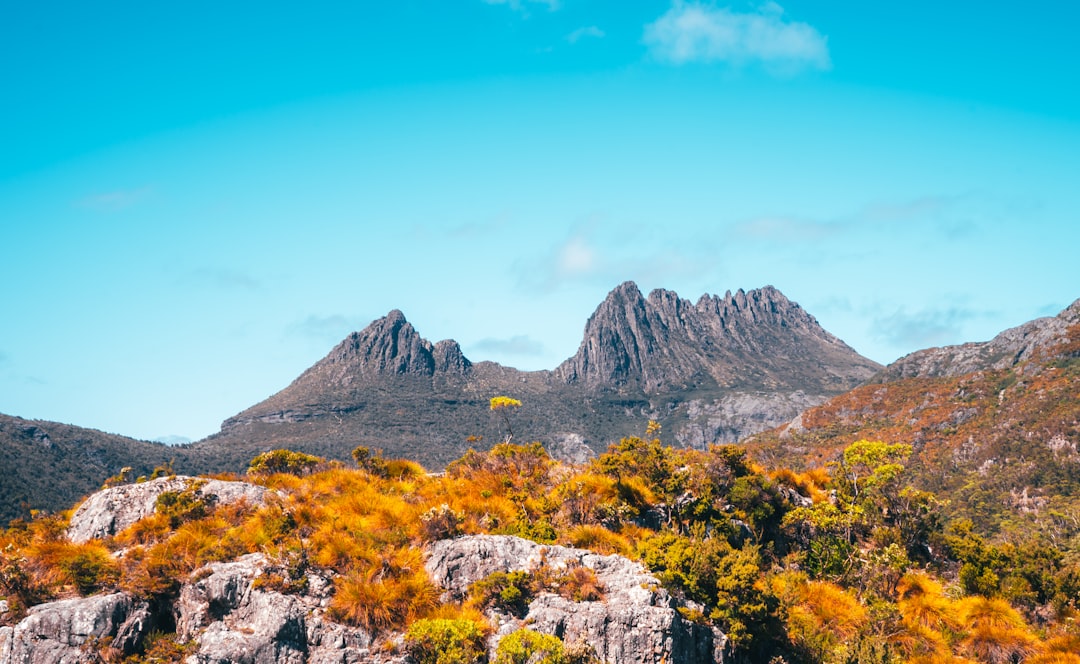 The mists clear over the jagged peaks of Cradle Mountain as the sun finally breaks through! 🏔️ Mark your calendars – Cradle Mountain is officially reopening after the festival!