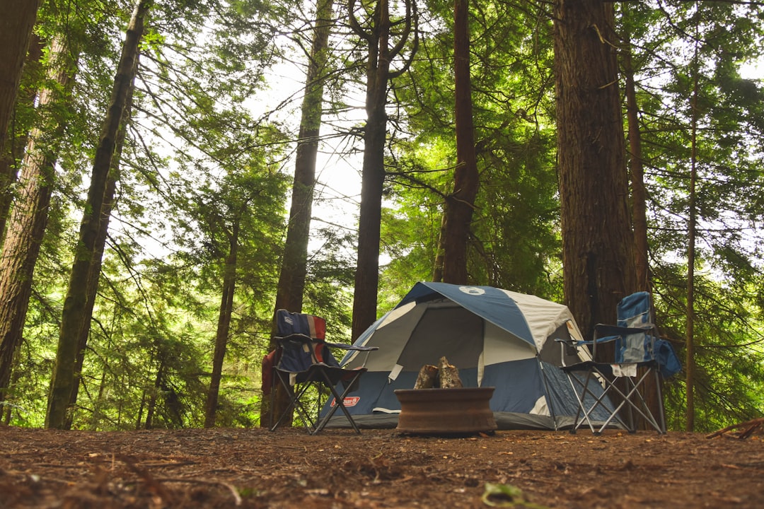 Over 75% of campers see better with gear? Celestron Nature DX vs SkyWatcher Heritage – which one wins!