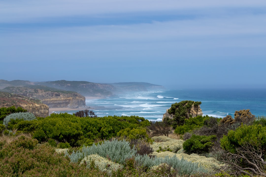 Hiking in VIC: Destinations, Tips & Planning