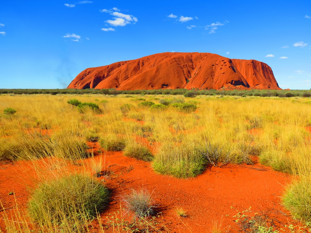 The Ultimate Australian Freshwater Fishing Guide | Tips, Locations & More