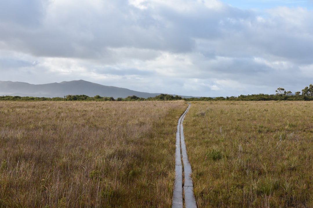 Hiking Australia: The Definitive Resource