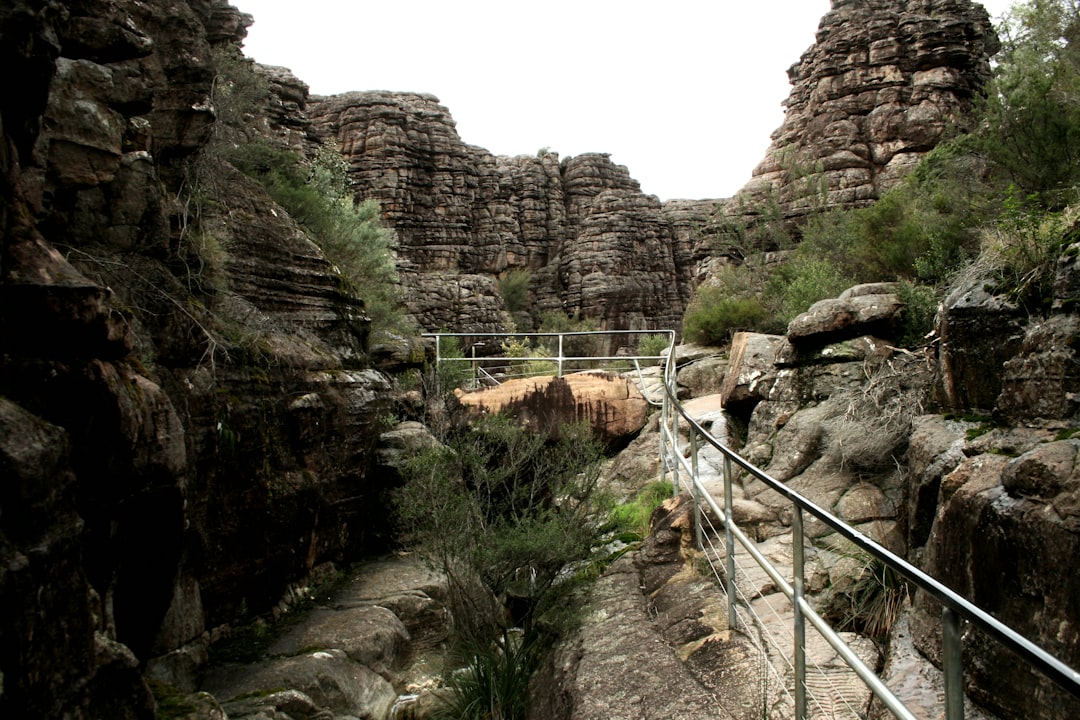 🚨 Breaking: Major Changes at Grampians Affecting Family Camping in Australia!