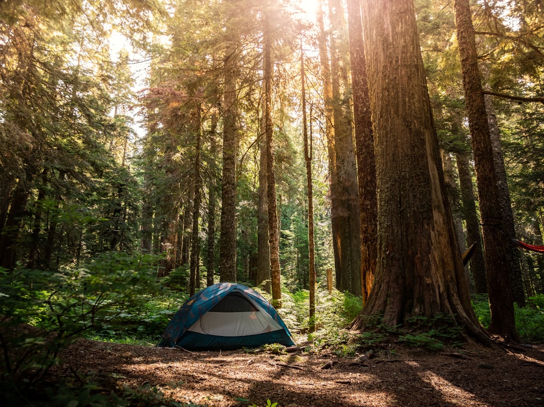 Don’t forget these outdoor adventure essentials! 🌿