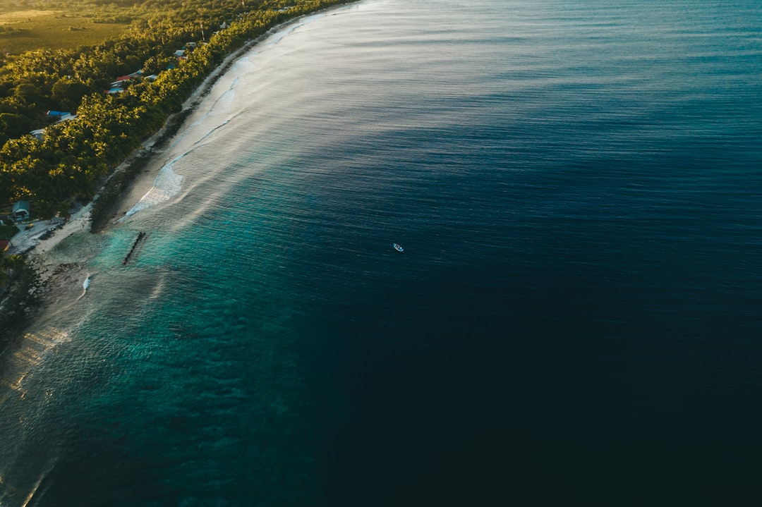 Deep Sea Fishing Essentials: Don’t Forget These Fishing Australia Must-Haves! 🎣