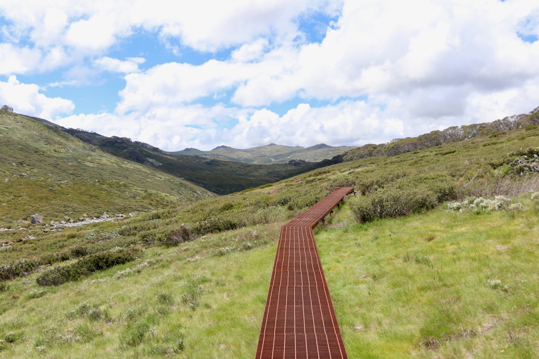 Hiking Australia: The Definitive Resource