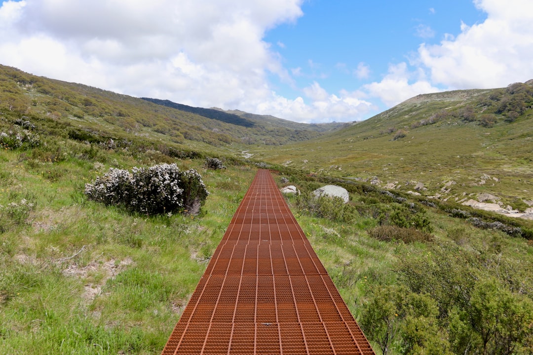 Hiking Australia: The Definitive Resource