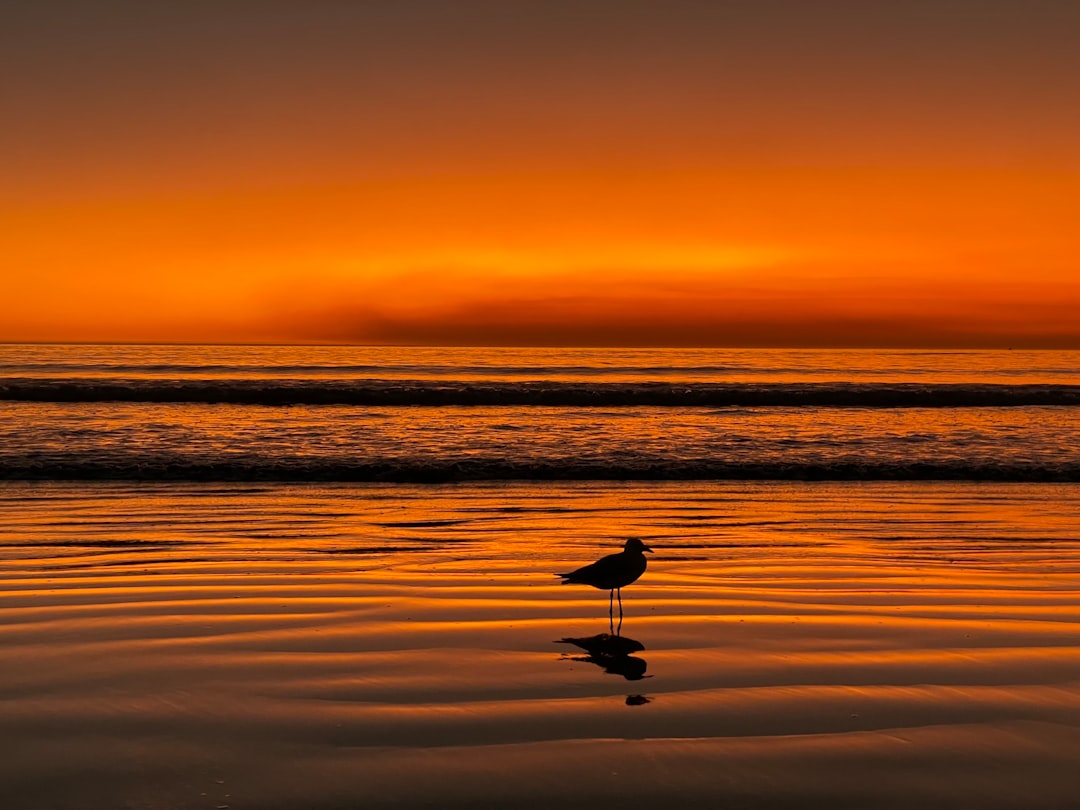 The Ultimate Australian Freshwater Fishing Guide | Tips, Locations & More