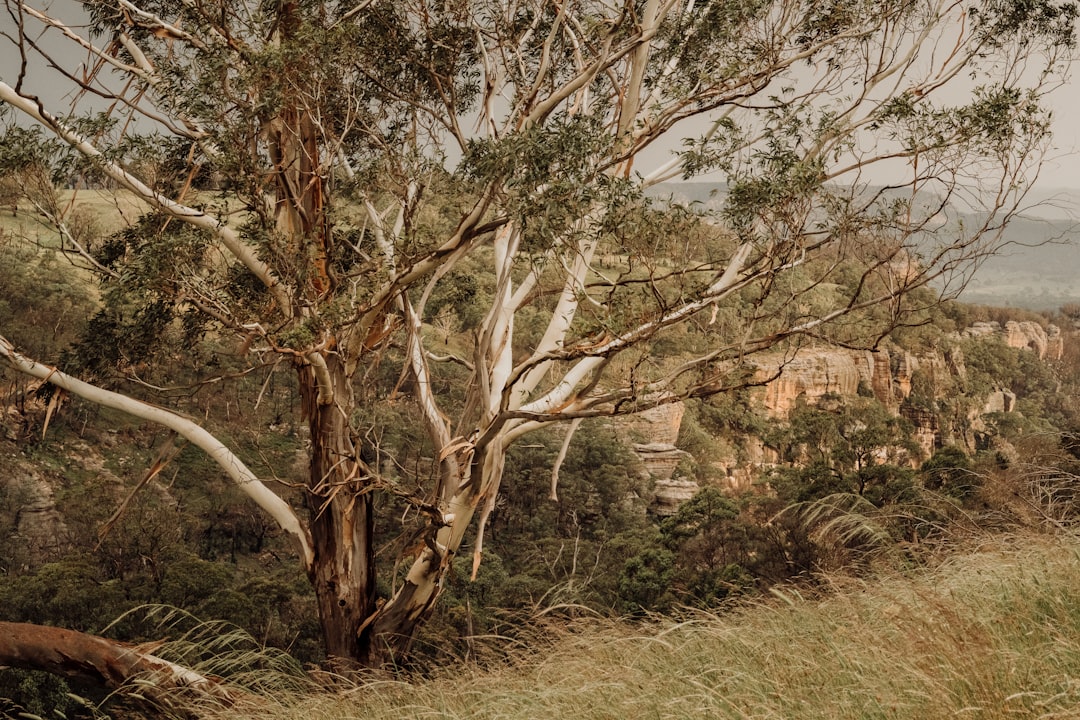 The Ultimate Australian Freshwater Fishing Guide | Tips, Locations & More