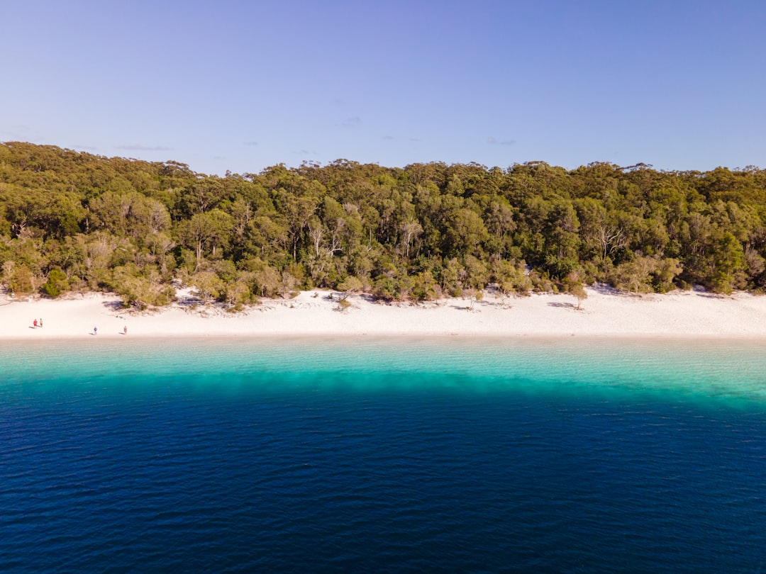 Winter 2026 on Fraser Island – What’s Changed & What You Need to Know! 🏝️