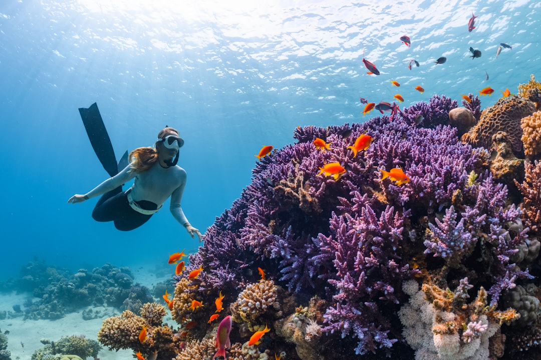 With over 2 million visitors yearly, here’s the Great Barrier Reef gear that locals actually use! 🐠