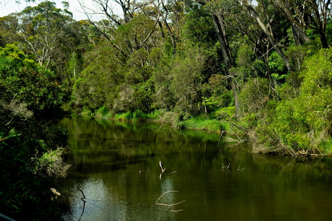 The Ultimate Australian Freshwater Fishing Guide | Tips, Locations & More