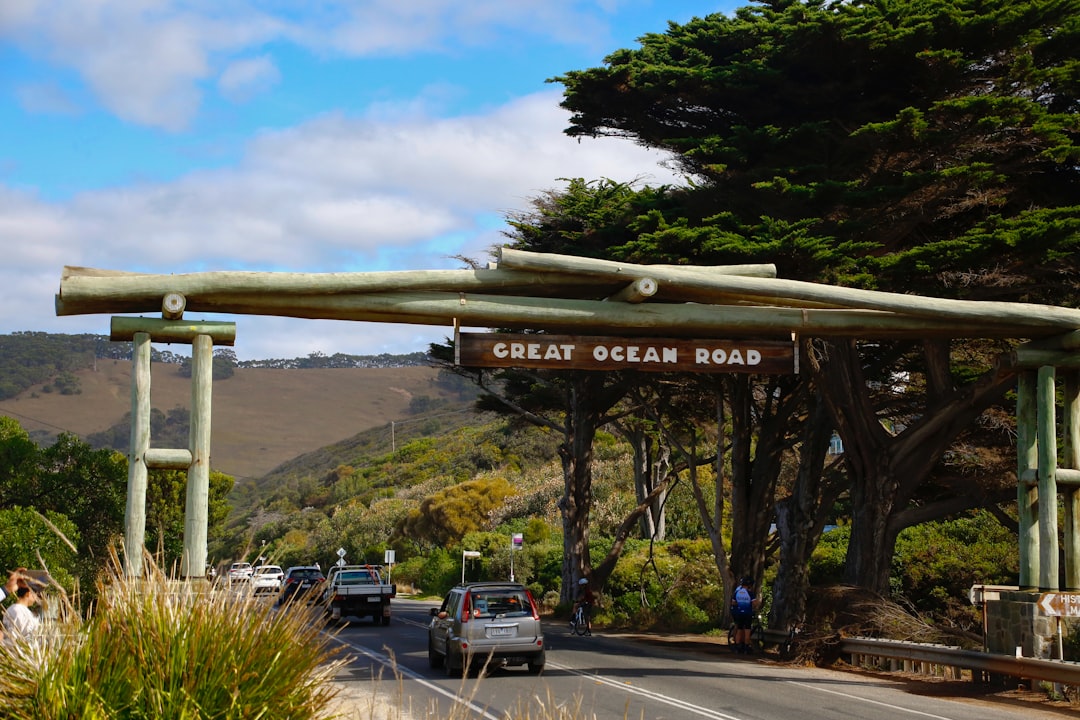 Road Trip in VIC: Destinations, Tips & Planning