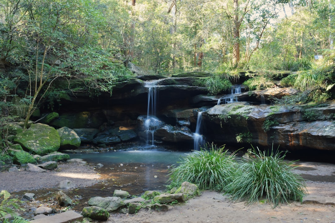 Guide to Trail Running Near Sydney | Best Spots & Tips
