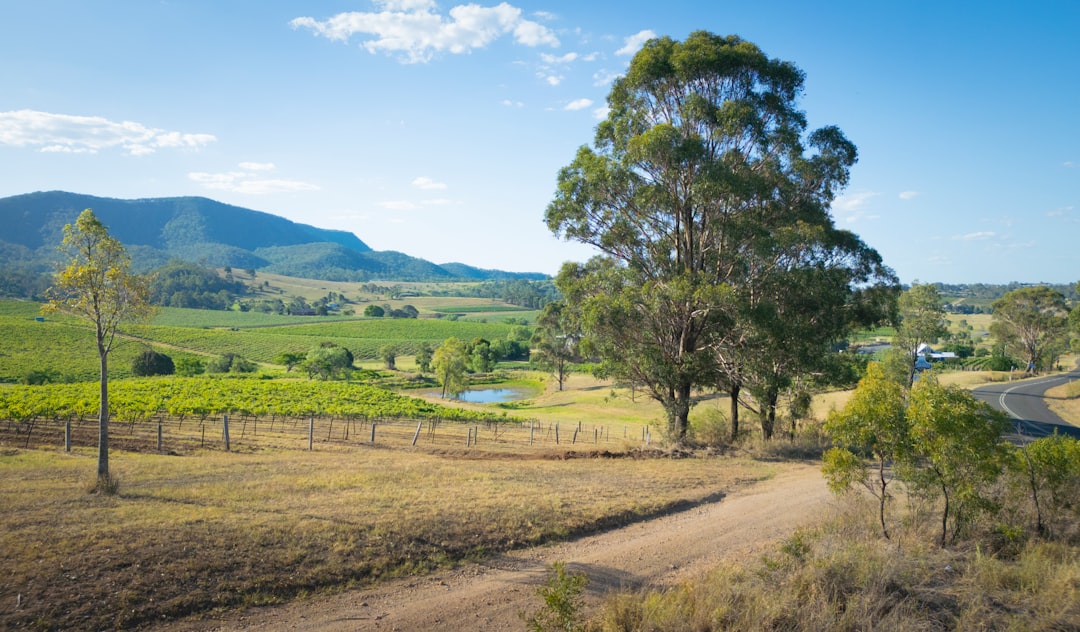NSW Hiking Guide: 5 Best Locations