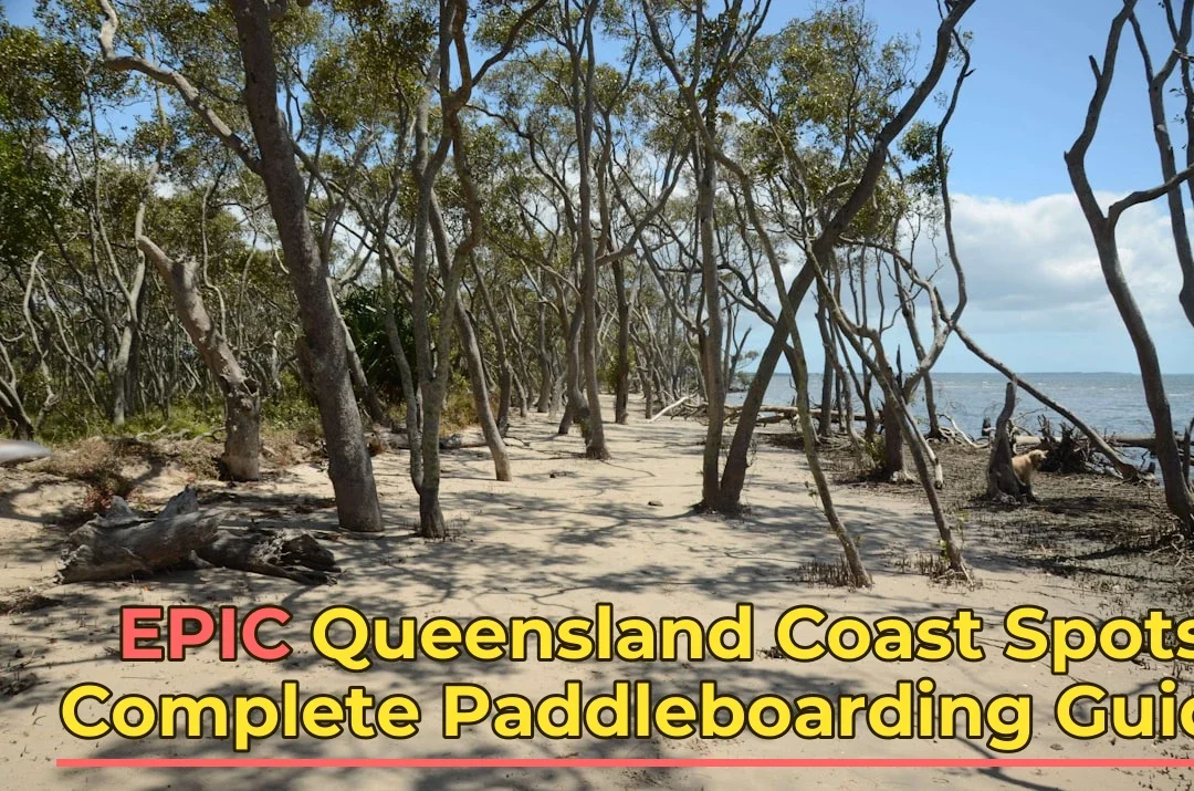 Queensland Coast Paddleboarding: Complete Area Guide