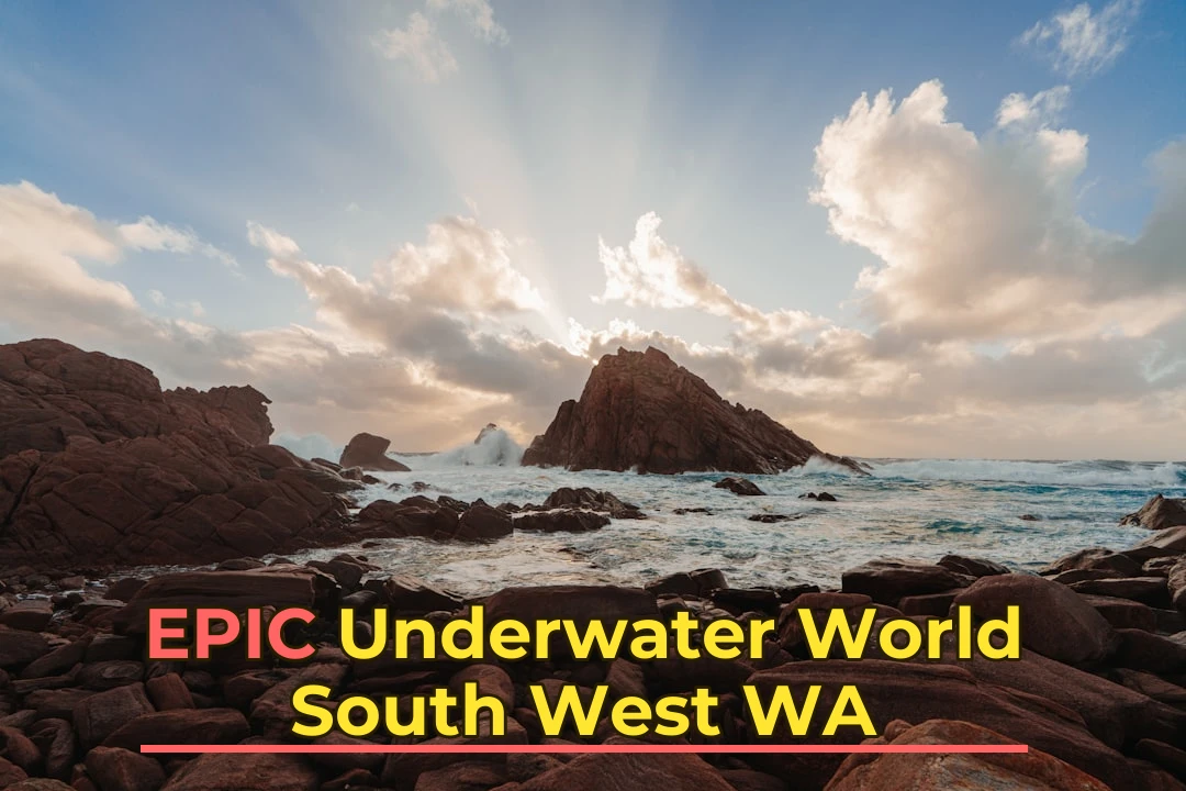 South West WA Snorkeling: Complete Area Guide