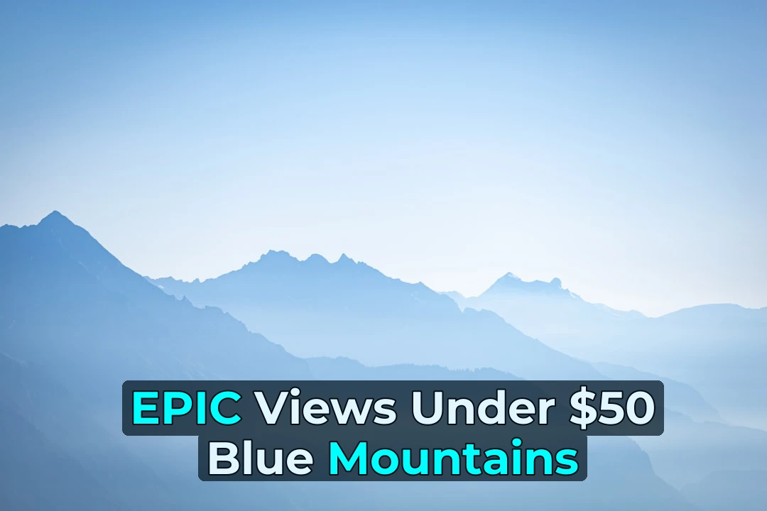 Ever Wondered If You Can Explore the Blue Mountains on Two Wheels Without Breaking the Bank? 🚴‍♂️