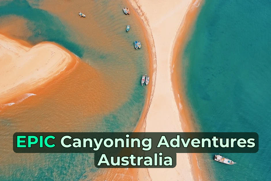 🏕️ 83% of Aussie Families Say Camping is Their Favourite Way to Connect – Here’s Your Ultimate Guide!