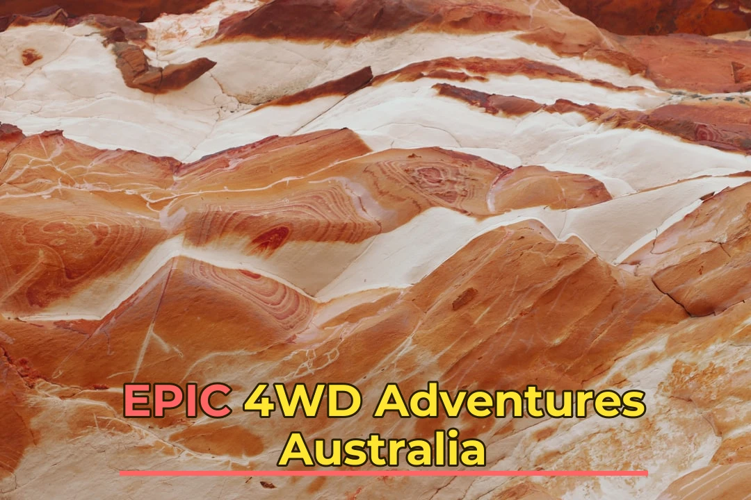4WD Adventures in Australia: A Complete Beginner to Expert Guide