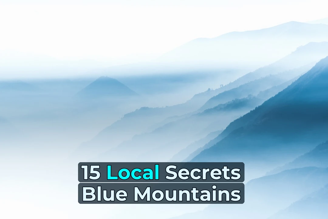 Want to Master Trail Running in the Blue Mountains? Here’s Exactly How I Did It! 🏃‍♂️