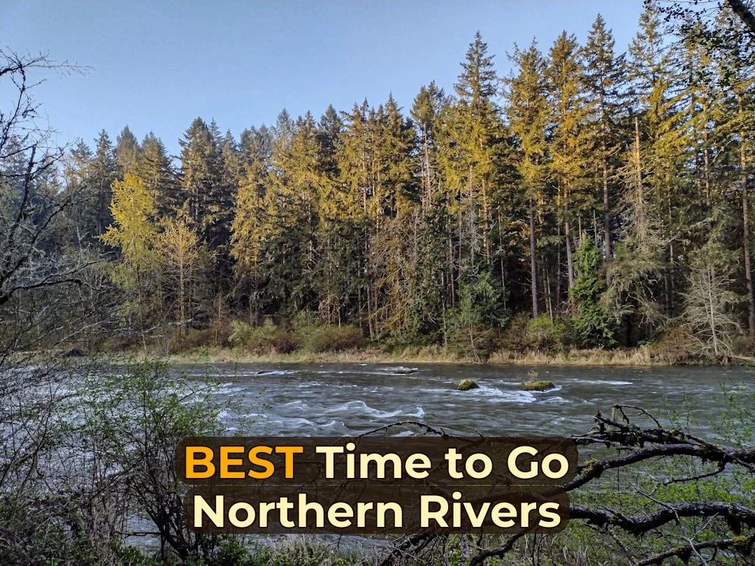 Best Time for White Water Rafting in Northern Rivers | Monthly Breakdown