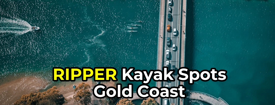 Guide to Kayaking Near Gold Coast | Best Spots & Tips