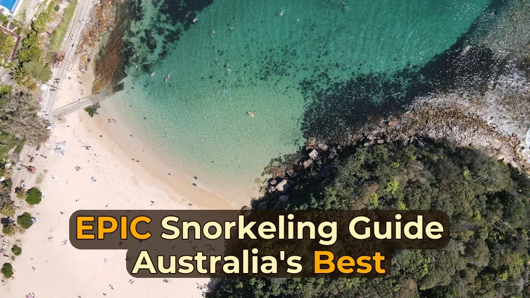 Snorkeling in Australia: A Complete Beginner to Expert Guide