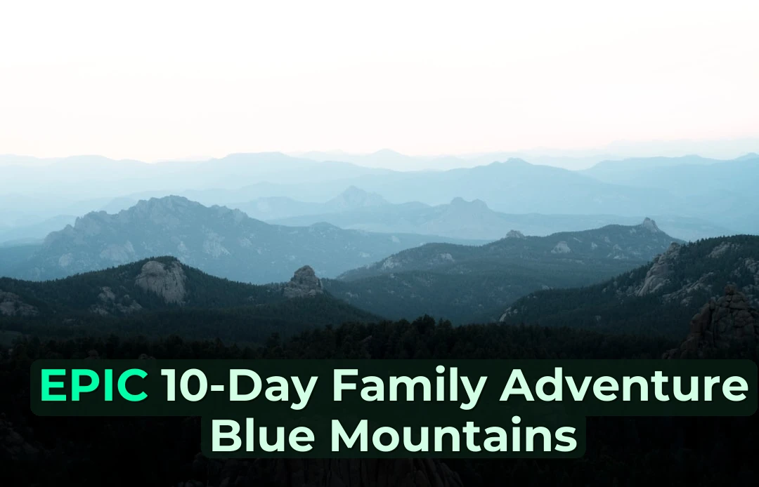 10 Days in the Blue Mountains with Outdoor Fitness Australia! 🏃‍♂️