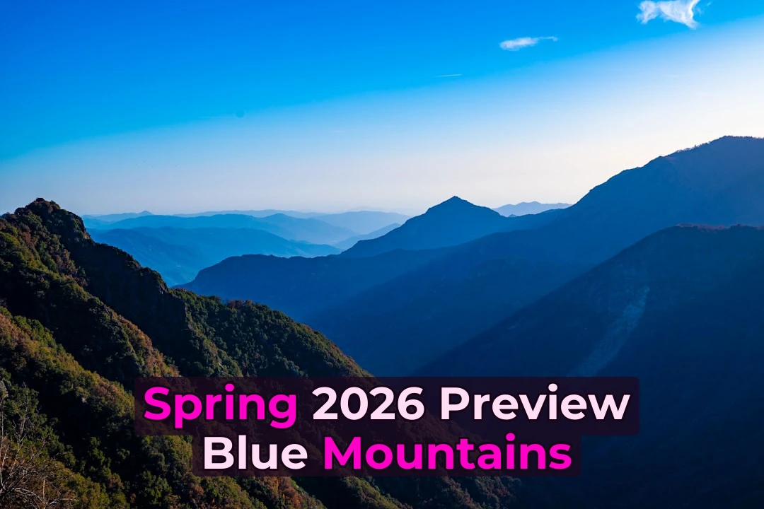 Is the Blue Mountains Worth It from Sydney? What’s New for Spring 2026! 🏔️