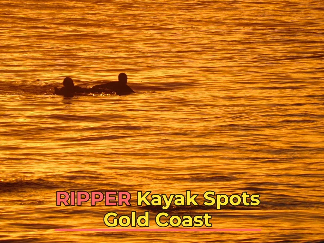 Guide to Kayaking Near Gold Coast | Best Spots & Tips