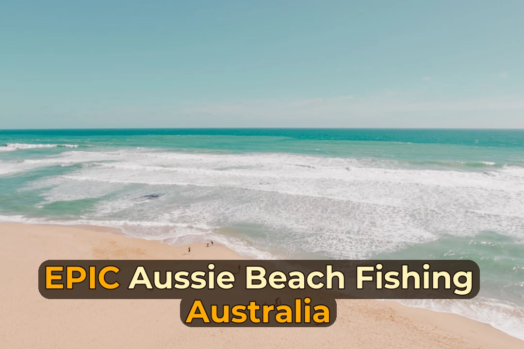 The Ultimate Australian Beach Fishing Guide | Tips, Locations & More
