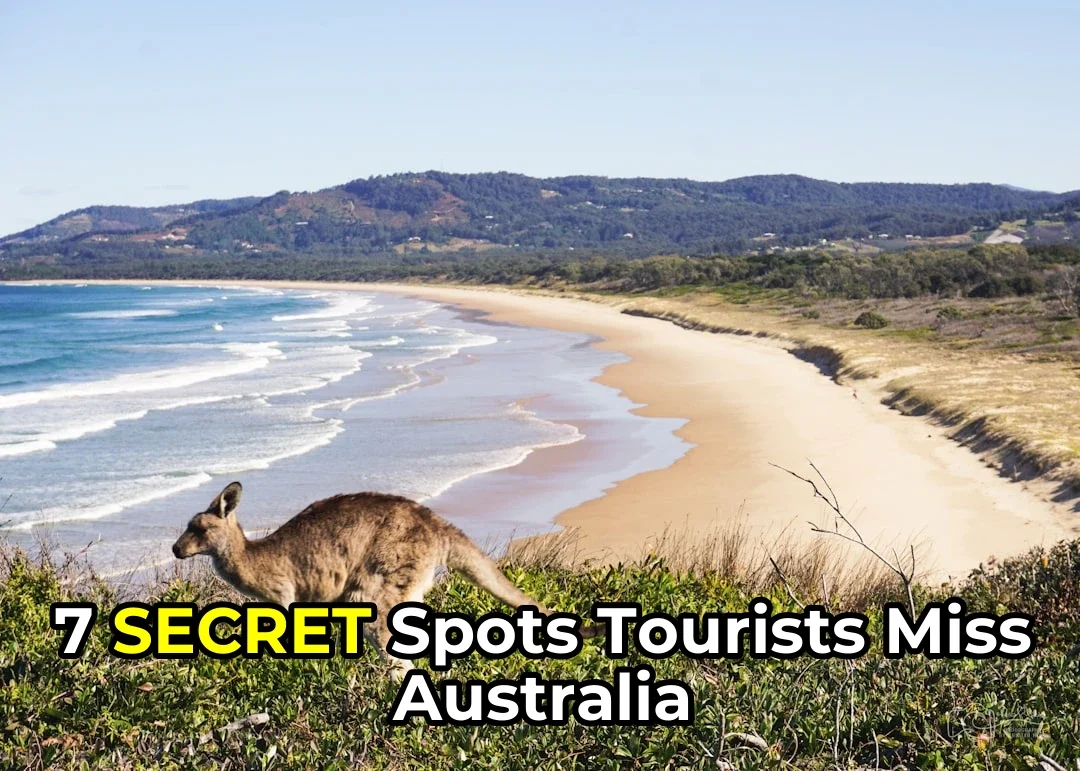 🎣 Fishing Australia Secrets: From Budget Spots to Premium Charters!