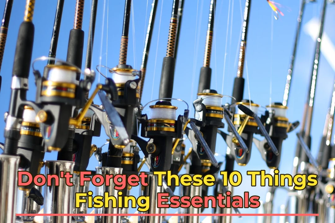 What If I Told You These 10 Byron Bay Fishing Essentials Will Save Your Trip? 🎣