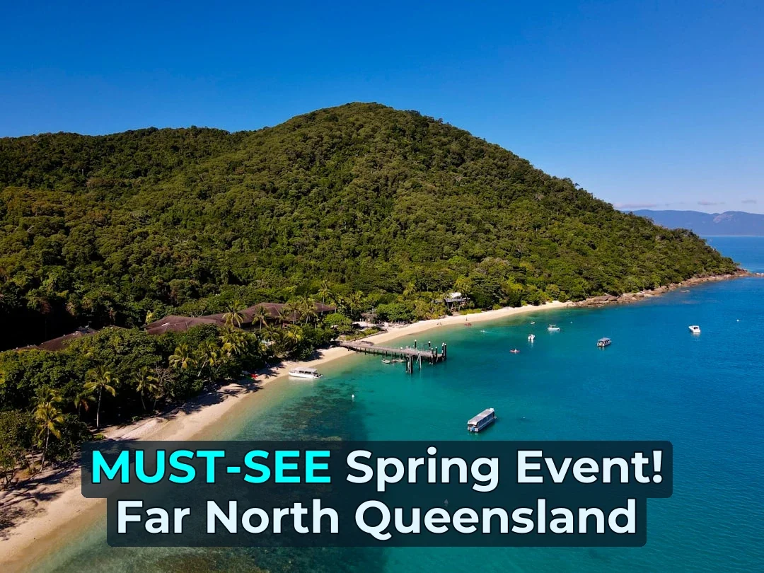 🎉 Mark Your Calendars – Cairns Festival 2026 is Coming with 20+ Free Outdoor Activities for Beginners!