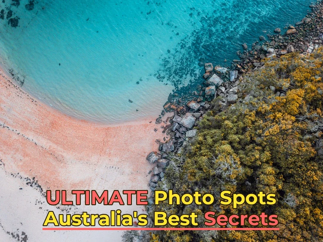 aerial photo of white sandy beach and green trees