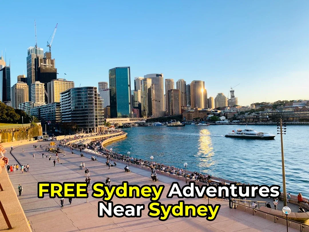 Want Epic Adventures Without Spending a Cent? Here’s Sydney’s Best Free Spots! 💸