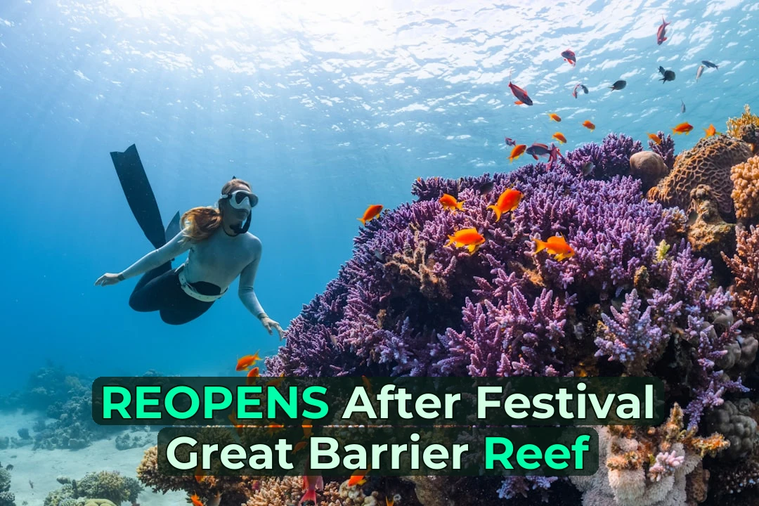 🌊 Great Barrier Reef Festival Has Wrapped – Here’s What’s Fresh for Visitors!