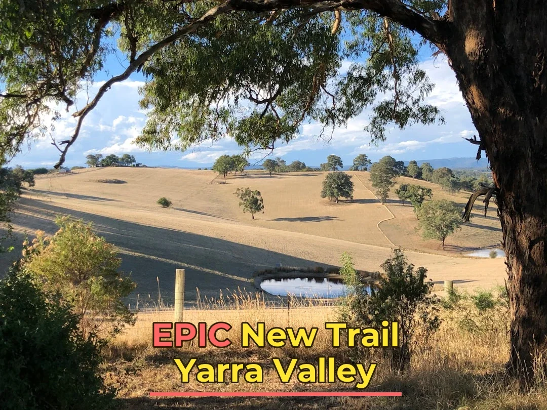 Big News: A Brand New Trail Just Dropped in the Yarra Valley! 🌿