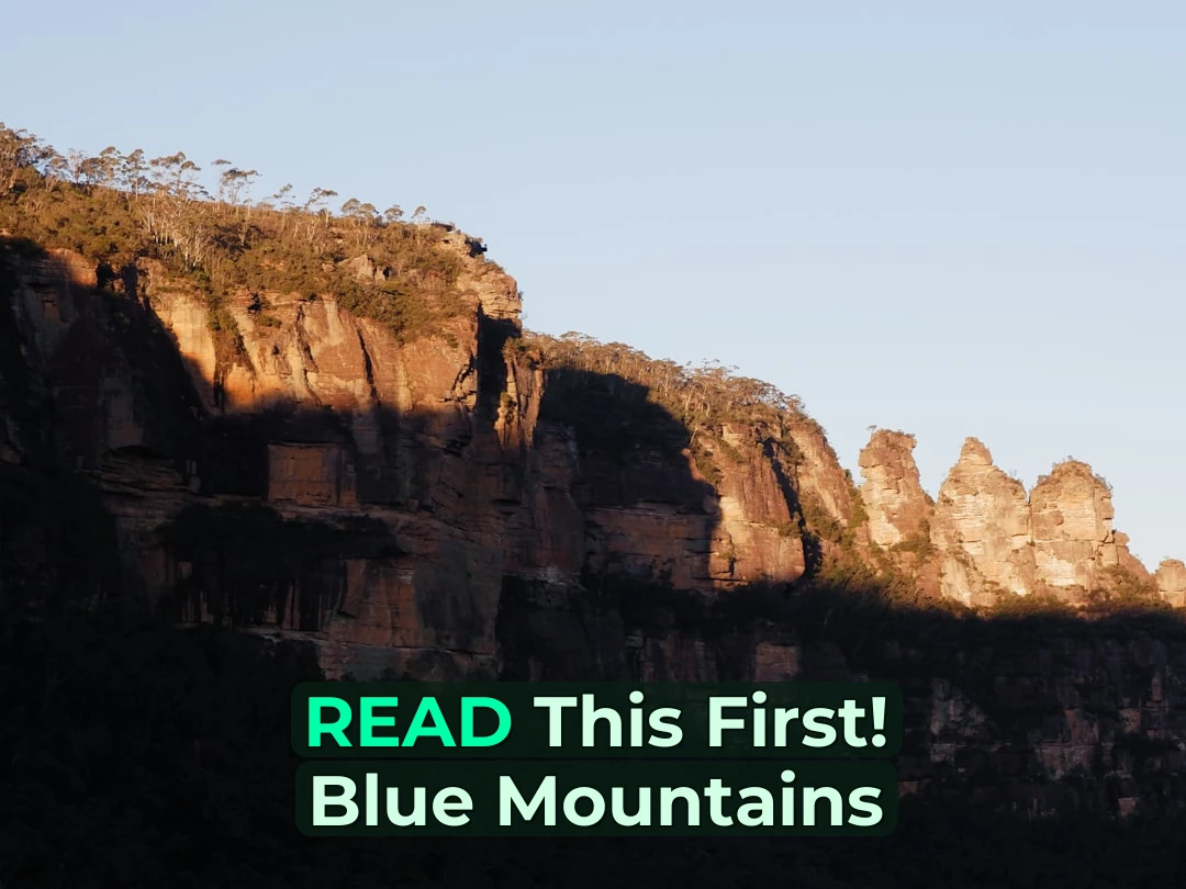The scent of eucalyptus hits you before you even see them… Just Got Back from 4 Days in the Blue Mountains and Wow! 🏔️